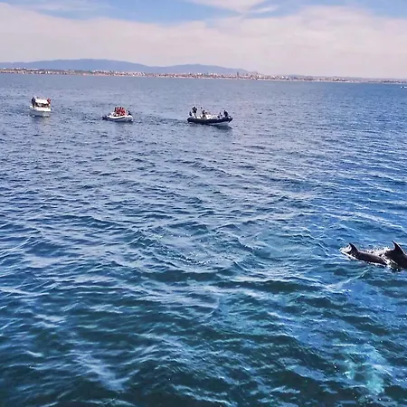 Villa Sunshine By Algarve Vacation